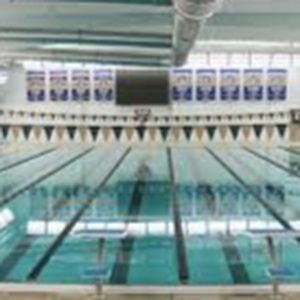 Meet your Posher, Stella